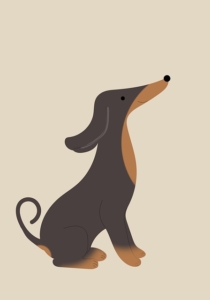 alpenländische dachsbracke aus dem Tierheim adoptieren