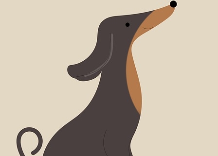 alpenländische dachsbracke aus dem Tierheim adoptieren