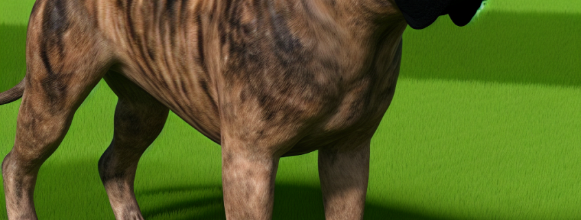 Bullmastiff virtuelle Darstellung
